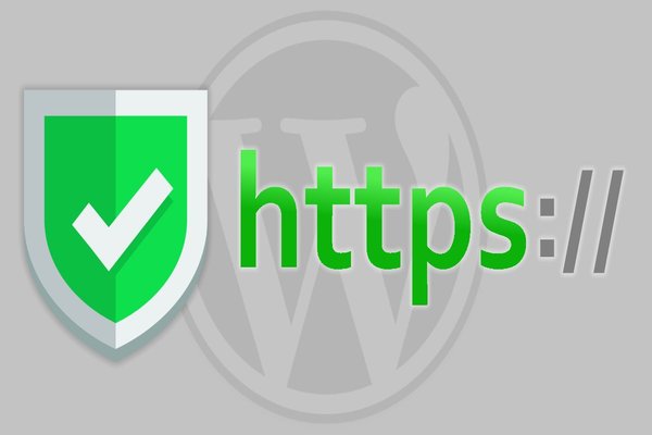 sử dụng SSL để tăng lợi thế website