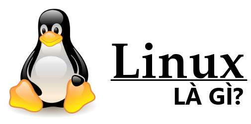  Linux là gì? Hệ điều hành Linux mang lại lợi ích gì cho server?
