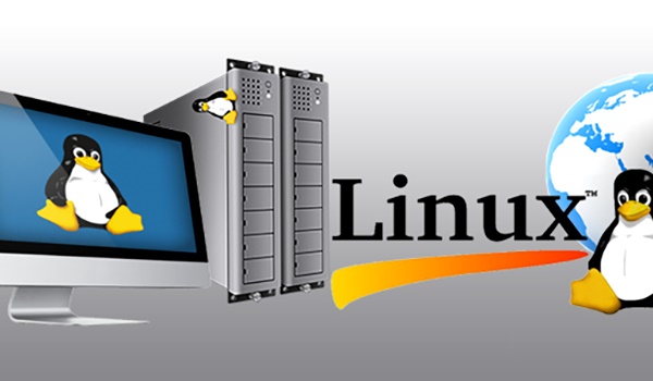 Hosting Linux đảm bảo nhiều tính năng để vận hành website dễ dàng