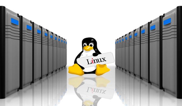 Cách chọn hệ điều hành cho server - Linux là chương trình có nhiều mã nguồn mở khác nhau